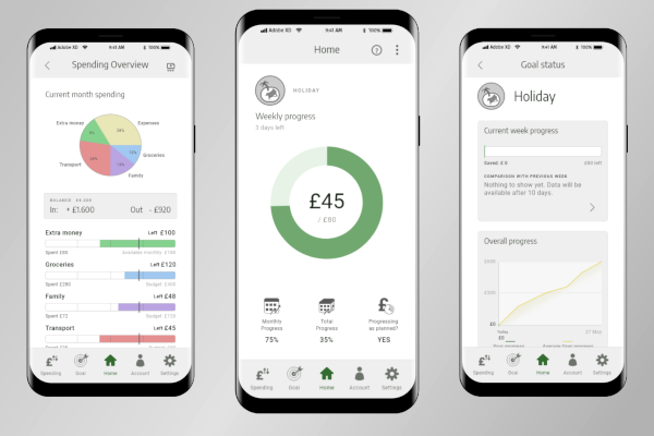 Introduction image of the Money Organizer project
